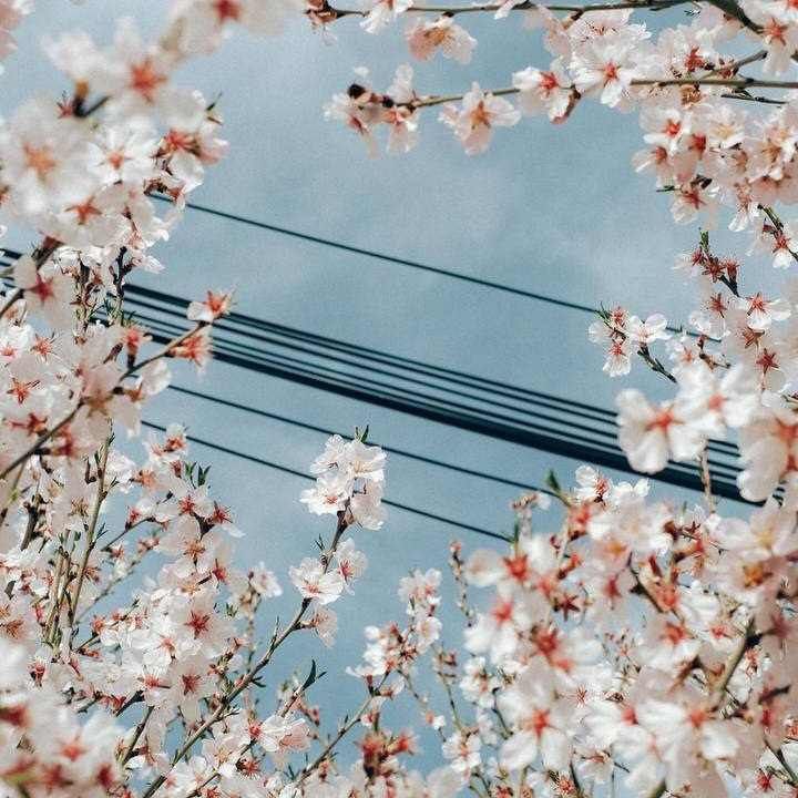 آهنگ جدید  همونی که میخواستمی یه مهربون خواستنی